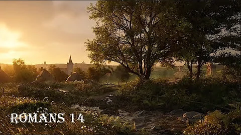 Romans 14 - The weak and the strong