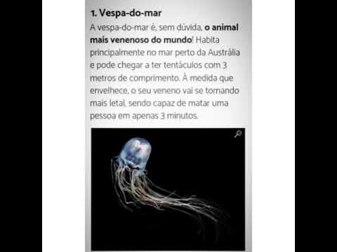 ...os 15 animais mais venenosos do mundo