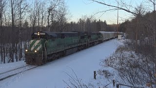 Trains in Minnesota and Michigan January 2022