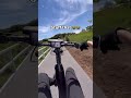 What Happens When Real People Try e-Cargo Bikes?