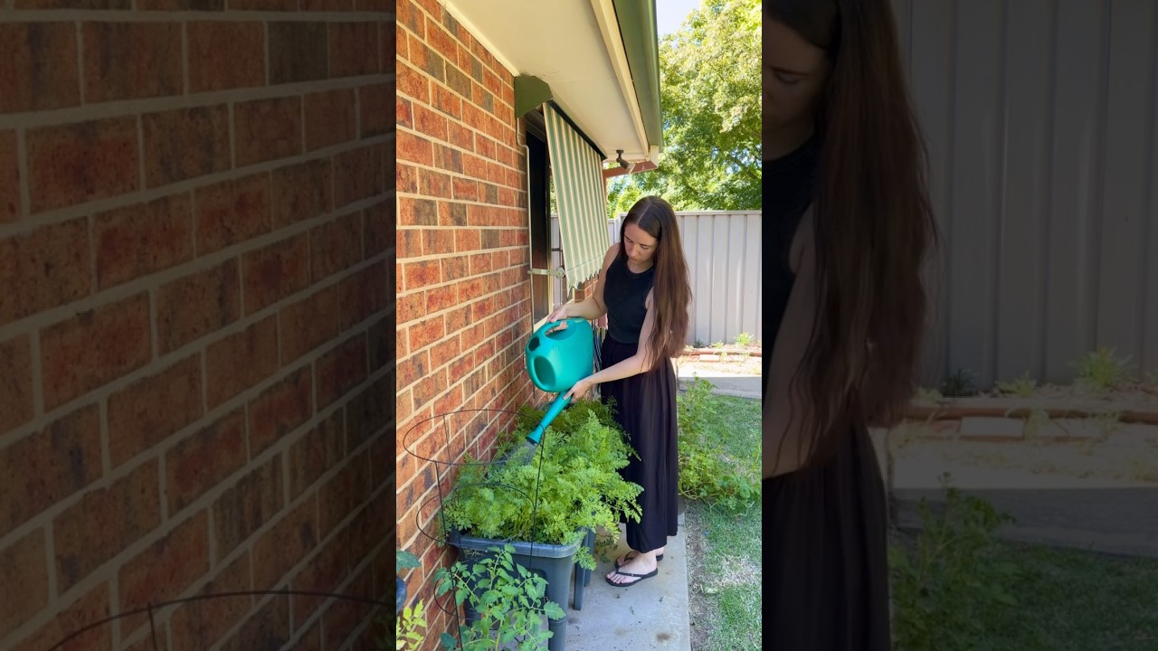Feeding The Vegetable Garden… 