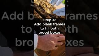 Do you need to split your Flow Hive?