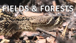 Coastal Kingdom | Season 1, Episode 13 – ‘Fields and Forests’ | Full Episode