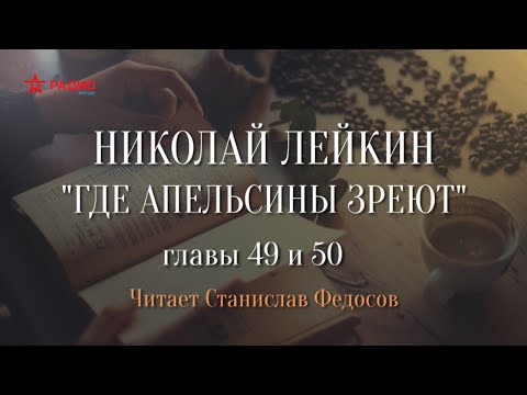 Николай Лейкин. «Где апельсины зреют». Аудиокнига. Главы 49 - 50