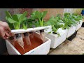 Growing Hydroponic Vegetable Garden at Home - Easy for Beginners