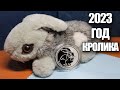 Черный Водяной Кролик символ 2023 года на серебряной монете России 3 рубля 2011 года