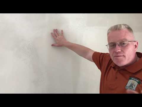 How To Prepare Walls For Peel and Stick Wallpaper- Spencer Colgan