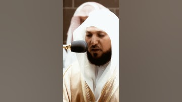 تلاوة مرئية سورة الإسراء الآية ١٩ الشيخ ماهر المعيقلي