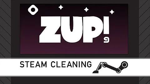 Steam Cleaning - Zup! 9