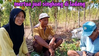 MERTUA JUAL SINGKONG BUAT TAMBAHAN ACARA PERNIKAHAN