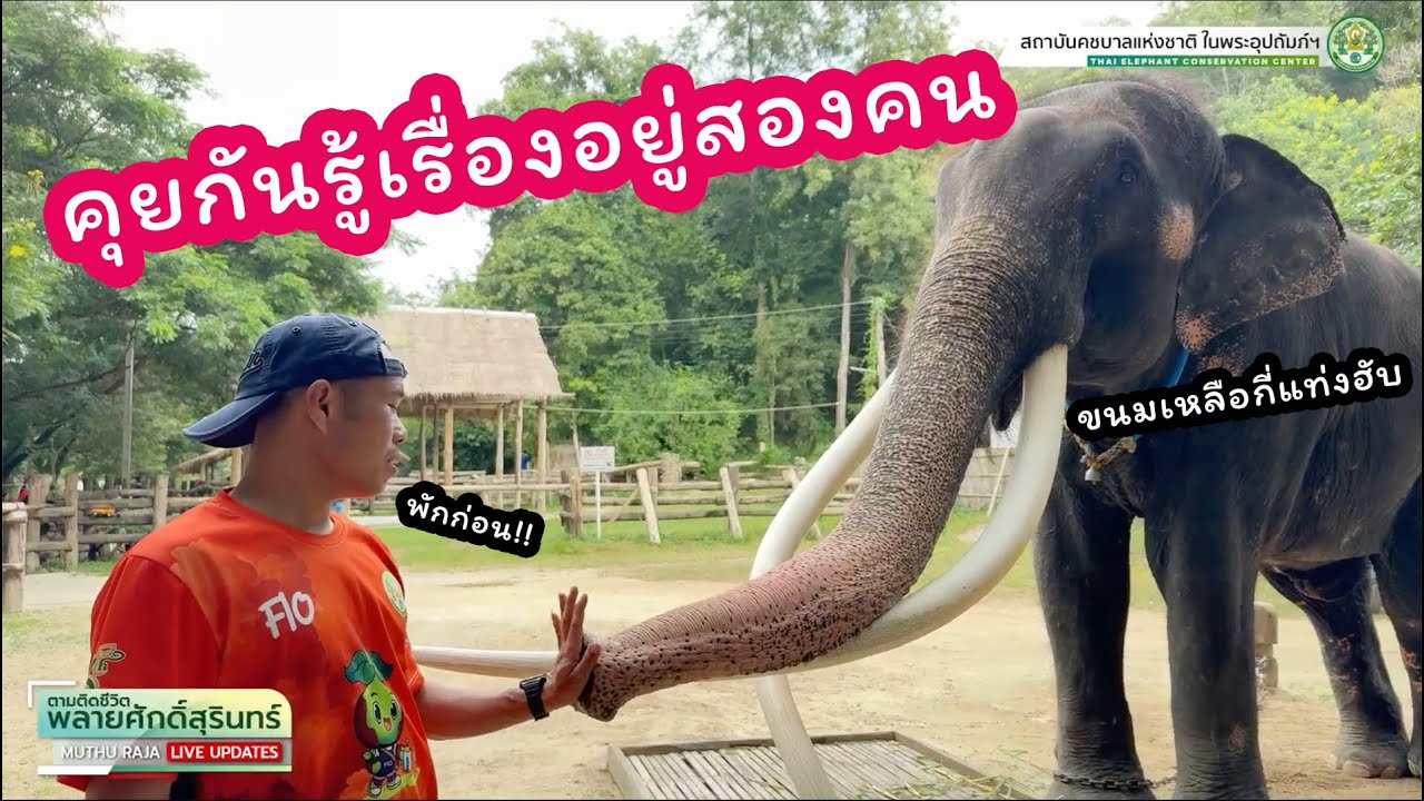 ตามติดชีวิต 