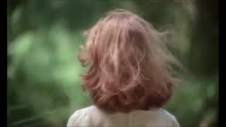 Duster- Stars Will Fall