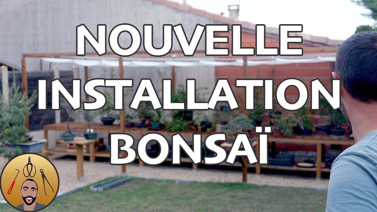NOUVELLE INSTALLATION pour BONSAÏ 🌳AFDB🌳
