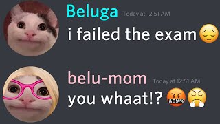 When Beluga Fail His Exam...