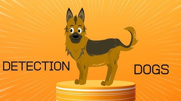 Dog detection training part1 forr kids and adults!