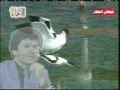 اخر ماغنى قحطان العطار