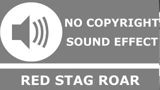 Red Stag Roar | No Copyright Sound Effect
Background Sounds is a channel dedicated to search, catalog, and publish No Copyright Sound Effects for content creators.
We provide two new sound effects every day!
Please Subscribe!❤️
Join us: https://bit.ly/join-the-channel
🔊 Sound effect info:
Red Stag Roar shared by Juan Carlos
🔥 Free download: https://bit.ly/3dJZss3
⚖️ Copyright Info :
This sound effect belongs to the Public Domain.
You can use it for commercial use or not in your work.
❤️ Follow Background Sounds :
Facebook: https://bit.ly/join-the-familty-on-facebook
If you find any broken links or issues with this video, please report it to us! It will be very appreciated! Thanks!
#NoCopyrightSoundEffect #RoyaltyFreeSoundEffect #BackgroundSounds Red Stag Roar | No Copyright Sound Effect
