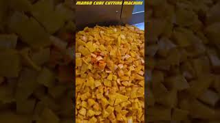 MANGO CUBE PROCESSING MACHINE ,