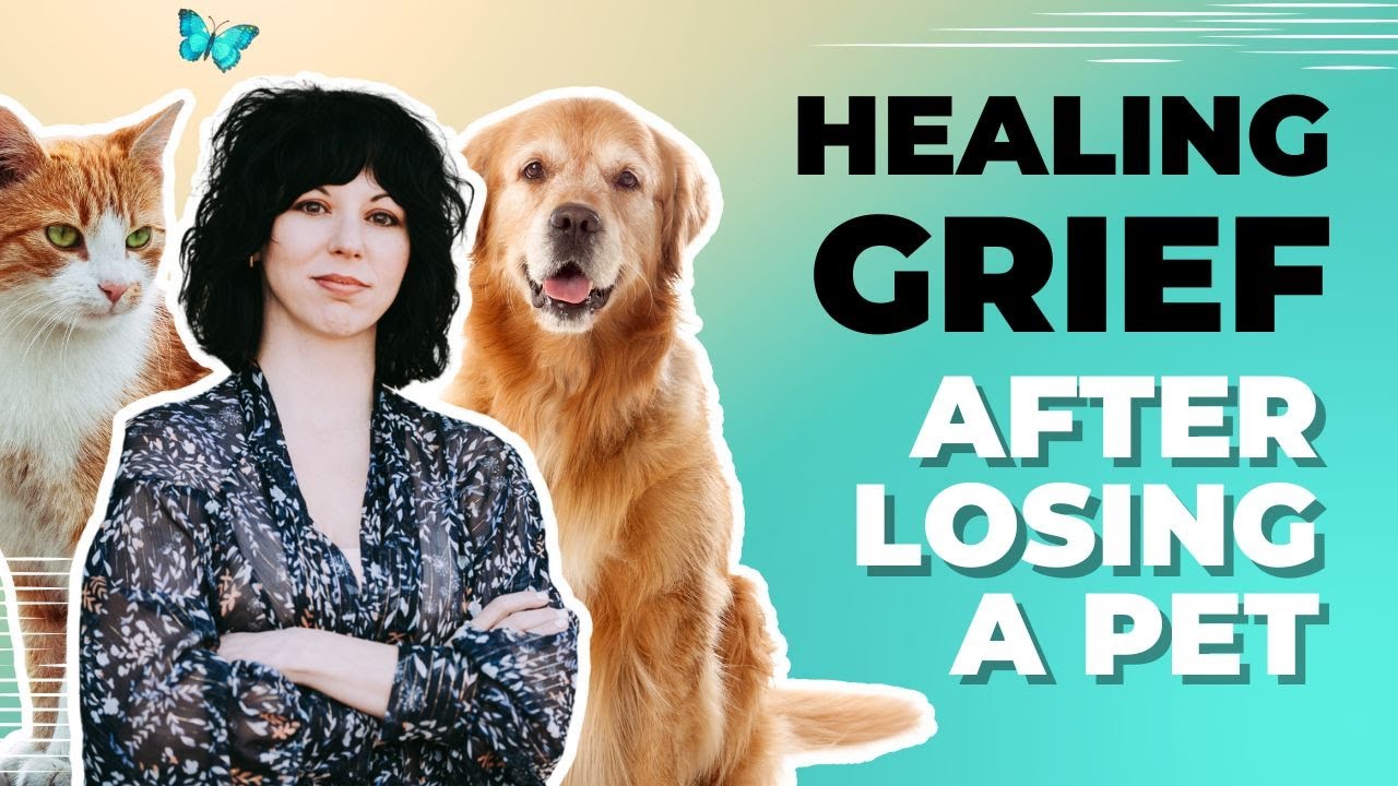 Photo inspiration: Picture Idea: Healing Grief After Losing A Pet Tips For Hsps And