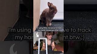 Creating soundtracks with Airwave 🐰