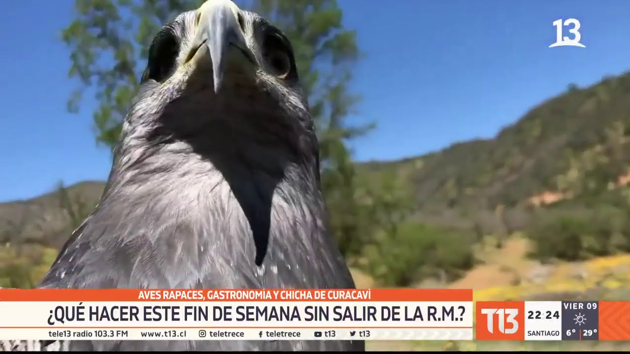 Curacaví se posiciona como el principal atractivo para atraer santiaguinos el fin de semana largo