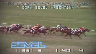 1988 G P PELLEGRINI -  MONTUBIO  O .ZAPATA