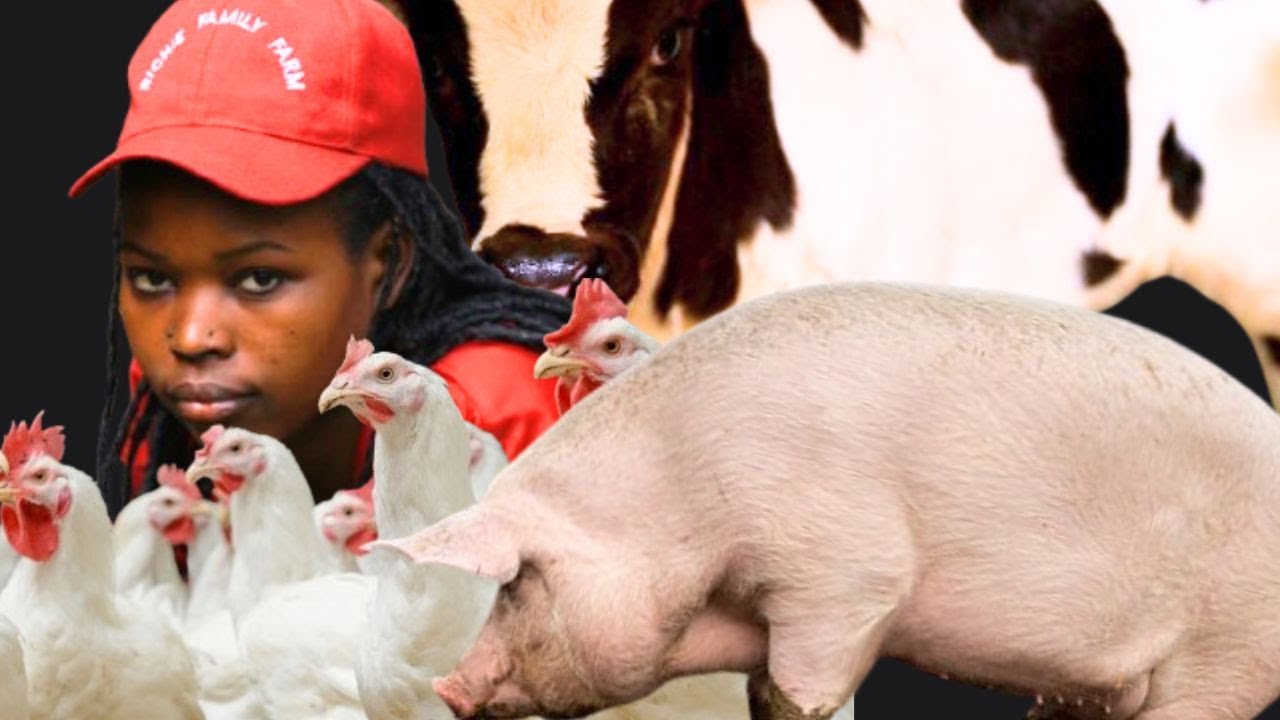 AMATUNGO YACU YOSE ARABYIBUSHYE KUBERA IRI BANGA TWAKORESHEJE! NAWE BIKORE NYUMA UZAMPA UBUHAMYA!