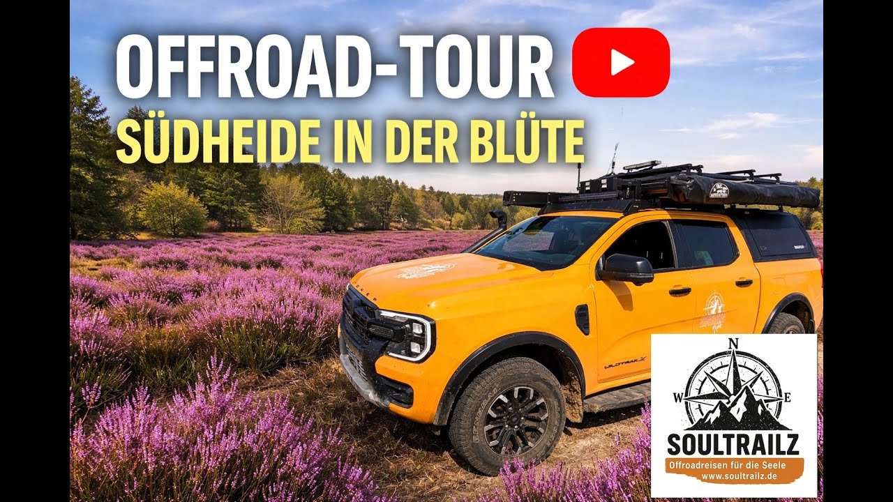 Die Südheide in der Blüte 2025