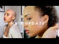 Big Chop update & Products (10 Months)