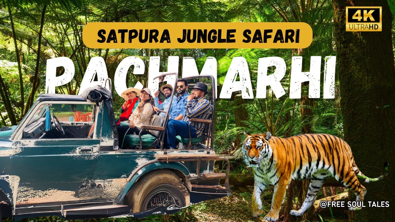 SATPURA jungle Safari | MP Tourism | Tiger Encounter | Pachmarhi | All you wanna know