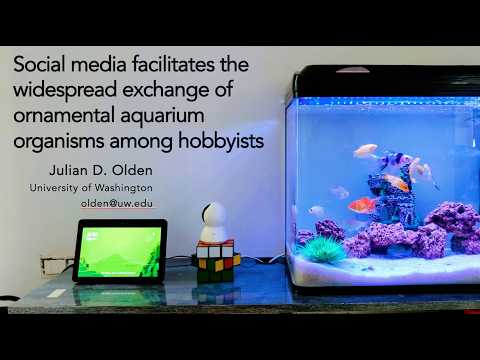Social media facilitates the widespread exchange of ornamental aquarium organisms among hobbyists