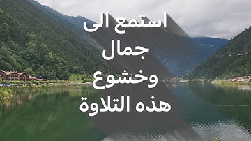 بتحبير يفوق الوصف لأجمل #محاكاه #اللحيدان من تراويح ليلة 17 من #سورة #هود  للقارئ عبدالرحمن ناجي