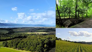 Sabor de la naturaleza por Suiza