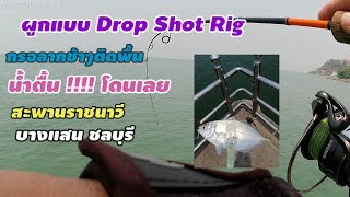 ตกปลาสะพานราชนาวี​ บางแสน​ ตกปลาชายฝั่ง​ ปลากินน้ำตื้น​ผูกแบบDrop​Shot​Rig​ กรอรากมาช้าๆ