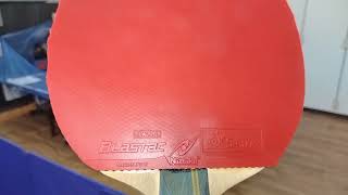 ニッタク ブラスタック バタフライ ロゼナ 打ち比べ Nittaku Blastac BUTTERFLY Rozena #卓トレ春日部豊春店 #卓球 #pingpong #tabletennis