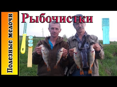 How to clean perch. Fish scaler.