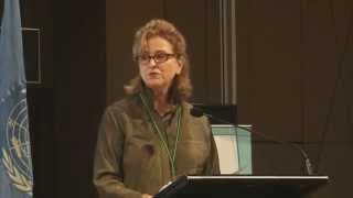 NEC 2015: Plenary 1 - From MDGs to SDGs