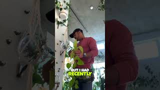 Propagating Plants! Dark Lord Philodendron Transformation! 🌿⚡