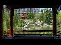 4K Chinese Garden Sydney AUSTRALIA Part 31 オーストラリア