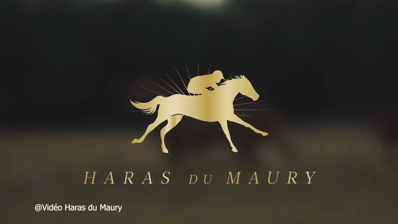 ENSEMBLE POUR LUCHON 