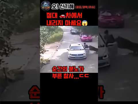 😱순간의 분노가 부른 사고 ! #amazing #issues #신기한사실 #과학쇼츠 #신기한 #상식 #실험 #놀라운 #쇼츠 #이슈 #사건사고 #연예인 #우주지식 #shorts