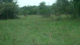 DSCF4150.avi