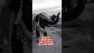 #DancingElephant #WildlifeMoments #ElephantLove #ElephantMagic #FunnyElephant #ViralAnimals 🐘🥰😂😍