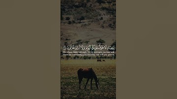 الأخلاء يومئذ بعضهم لبعض عدو إلا المتقين #ناصر_القطامي #القرآن_الكريم #سورة_الزخرف