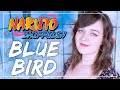 Naruto Shippuden Opening 3 BLUE BIRD COVER