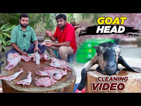 ஆட்டு தலை உரித்து சுத்தம் செய்வது எப்படி? Goat head cleaning by expert Abdul | Jabbar Bhai