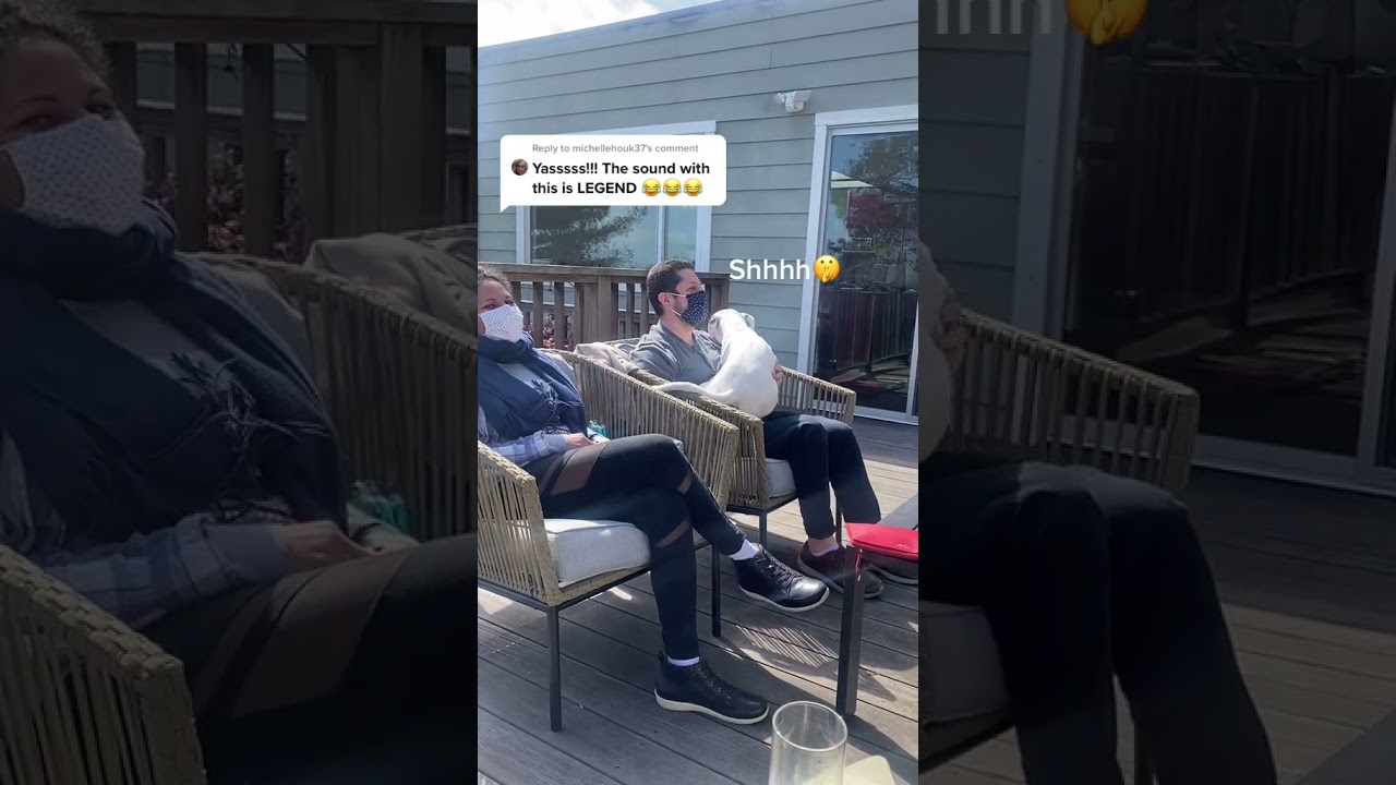 Reply to @michellehouk37 with the subtitles! This dog won’t quit! 