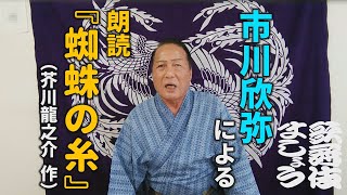 【朗読】芥川龍之介「蜘蛛の糸」（語り：市川欣弥）【歌舞伎ましょう】