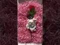 satisfying video #comment #likeandsubscribe