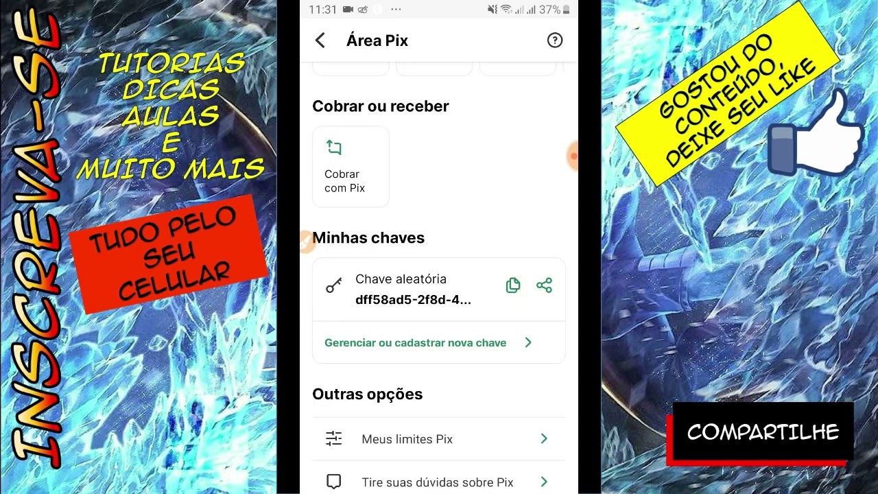 É possível fazer um Pix Anónimo? Aprenda o passo a passo